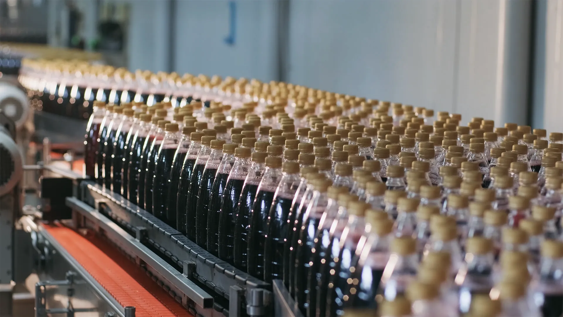 Виробництво ВФ «Панда» ТМ «Караван»