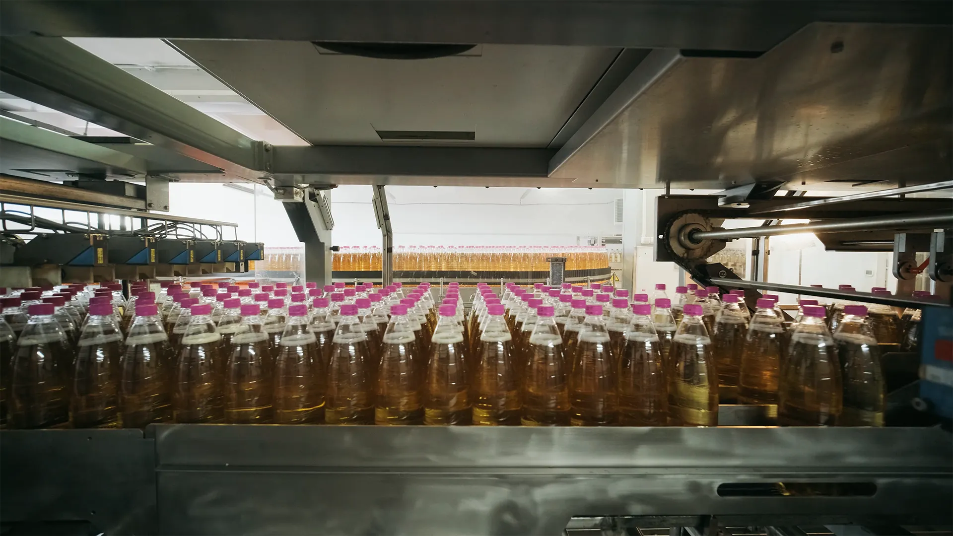 Виробництво ВФ «Панда» ТМ «Караван»