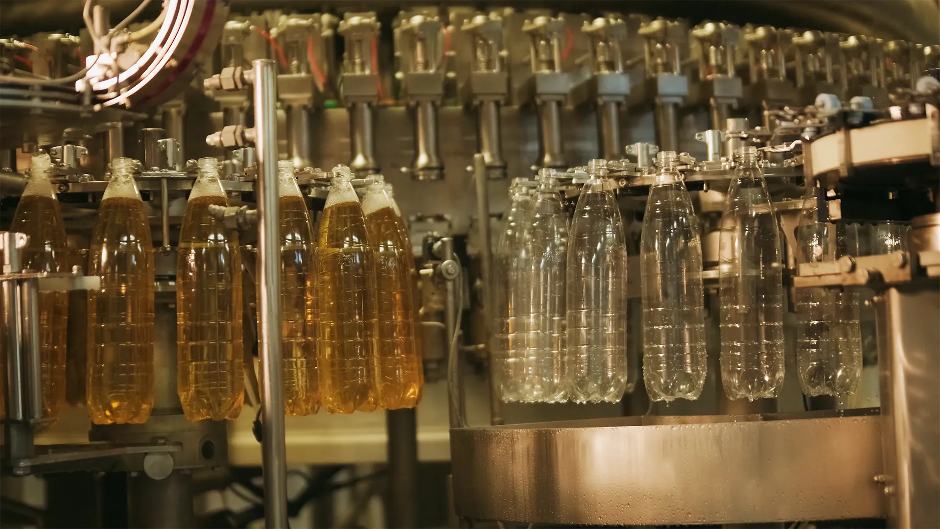 Виробництво ВФ «Панда» ТМ «Караван»